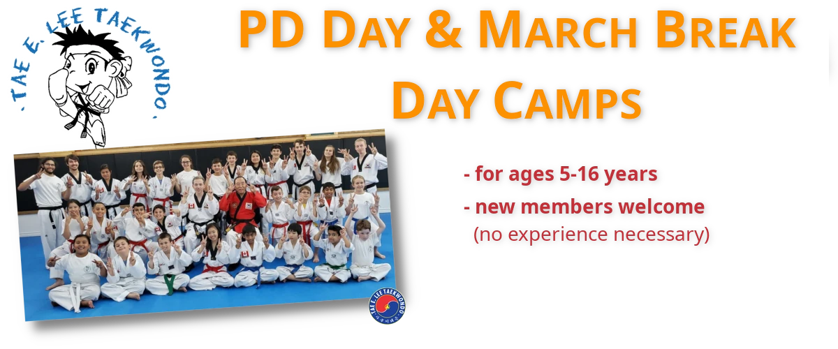 Tae E. Lee Taekwondo PD Day and March Break Camps